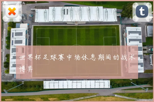 世界杯足球赛中场休息期间的战术博弈