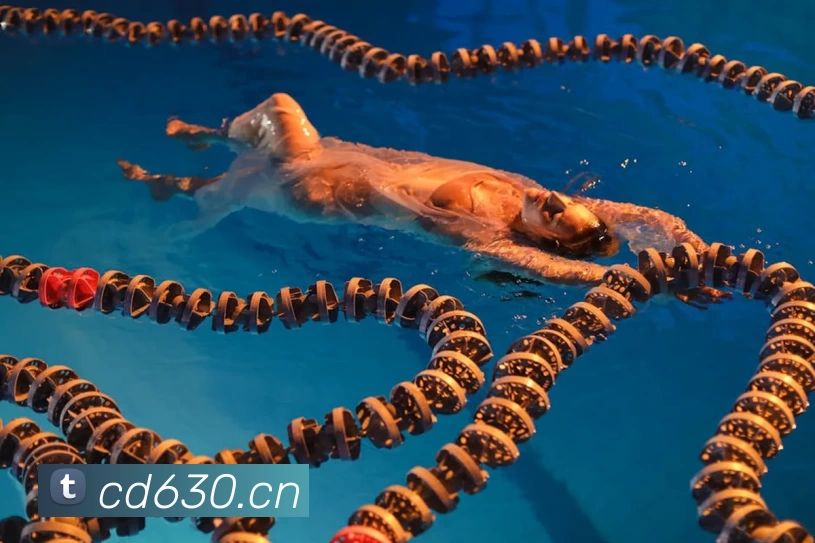 多媒体互动体验